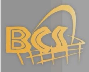 Logo BCS Mall